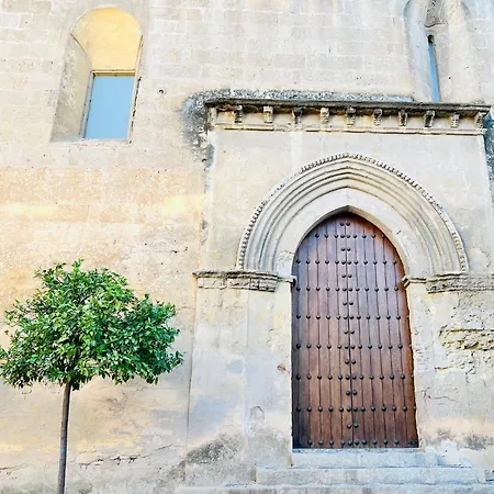 Charming In The Wonders Of * Córdoba