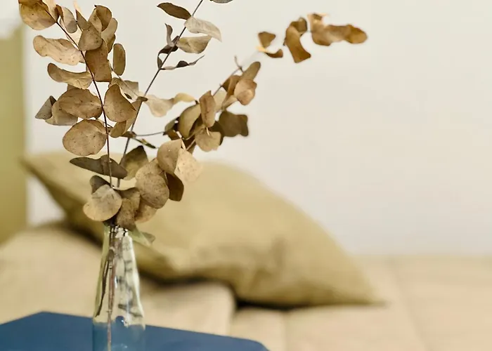 Apartament Charming In The Wonders Of Kordoba