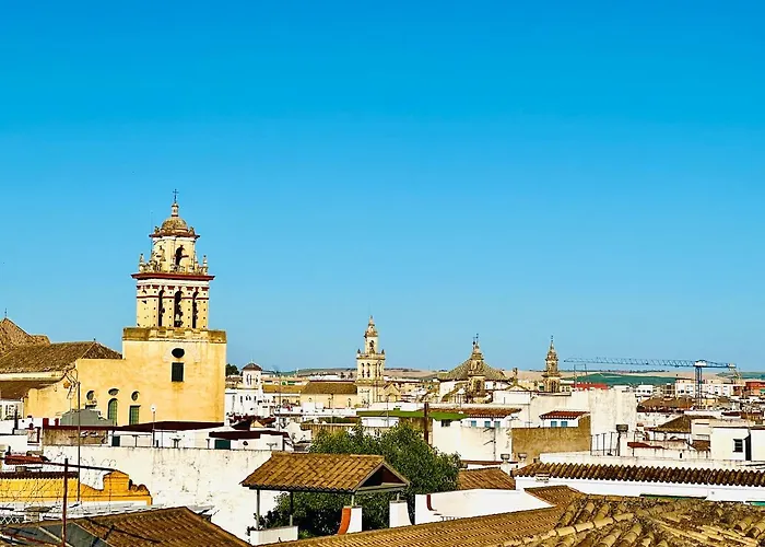 Charming In The Wonders Of