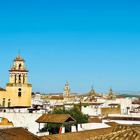 Charming In The Wonders Of